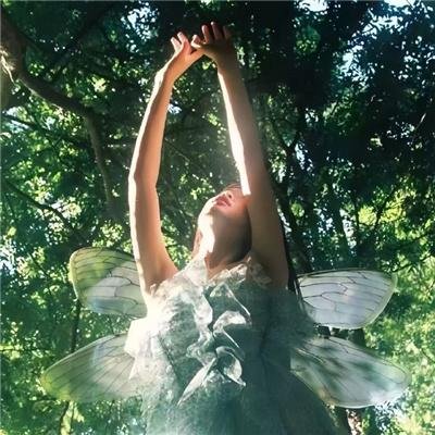 路～台湾特快～